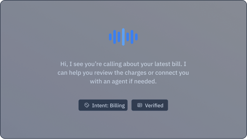 Voice Agent Interface